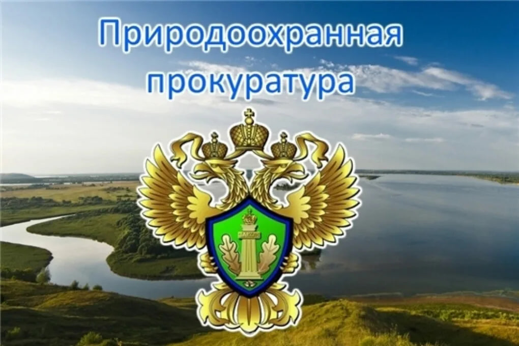 Разъяснение Калужской межрайонной природоохранной прокуратуры о возможности владения на праве собственности земельным участком, расположенным в береговой полосе и акватории водного объекта.